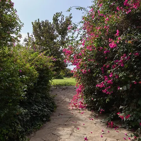 Apartment Tenuta Donna Vittoria - Mandarino Trapani