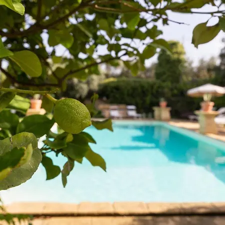 Tenuta Donna Vittoria - Mandarino Apartment